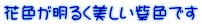 ԐF邭Fł