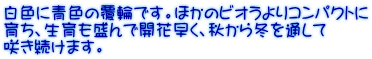 FɐF̕ւłBق̃rIRpNg 炿AŊJԑAH~ʂ 炫܂B