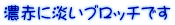 ZԂɒWub`ł