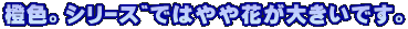 FBذނł͂Ԃ傫łB