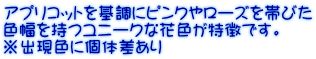 AvRbgɃsN⃍[Yтт Fj[NȉԐFłB oFɌ̍