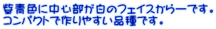 FɒS̃tFCX[łB RpNgō₷iłB