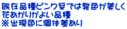 ݕisNnł͔F Ԃ肪悢i oFɌ̍