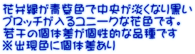 ԕىFŒWȂ荕 ub`郆j[NȉԐFłB ኱̌̍Iȕił oFɌ̍