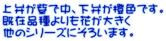 قŒAقFłB ݕiԂ傫 ̃V[Yɂ낢܂B