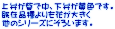 قŒAقFłB ݕiԂ傫 ̃V[Yɂ낢܂B