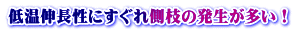 ቷLɂꑤ}̔I