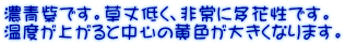 ZłBႭAɑԐłB xオƒS̉F傫Ȃ܂B