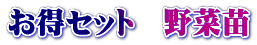 Zbg@ؕc